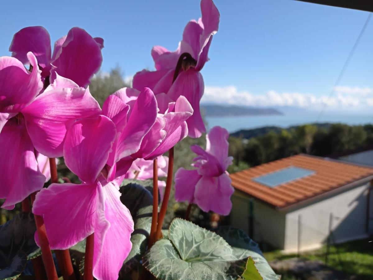 Le Vigne Di Lenf Apartment Porto Venere Luaran gambar